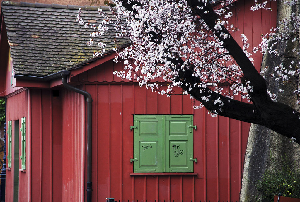 basel – teil zwei -frühling