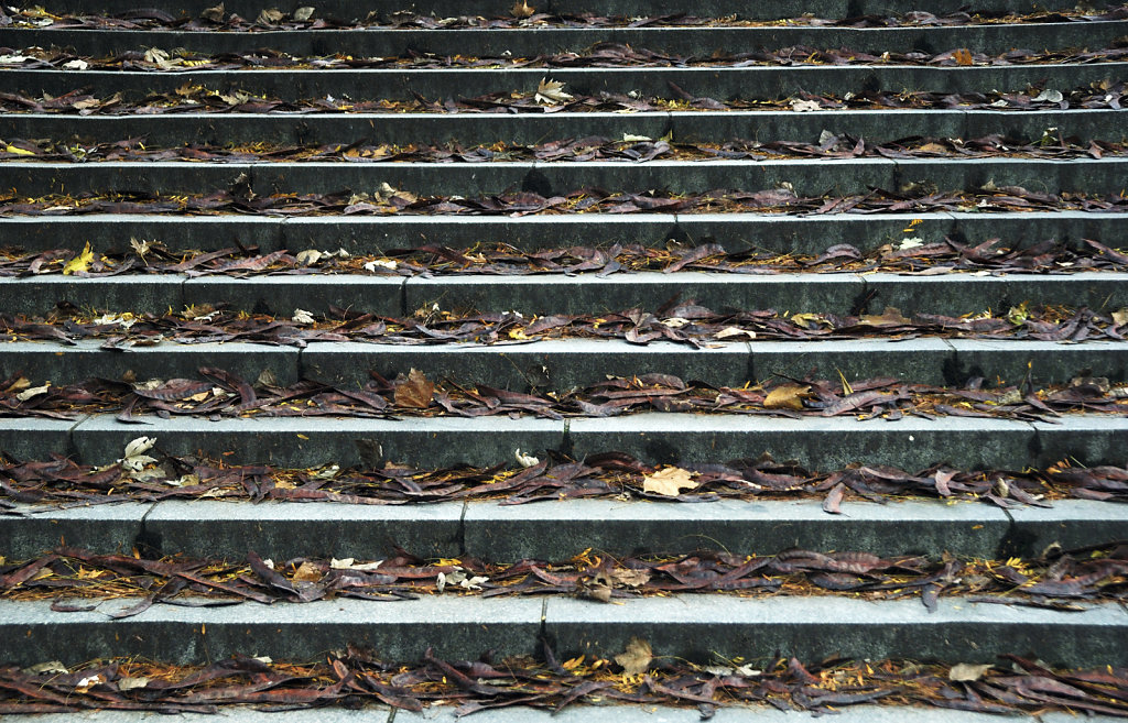 berlin mitte - herbstlaub