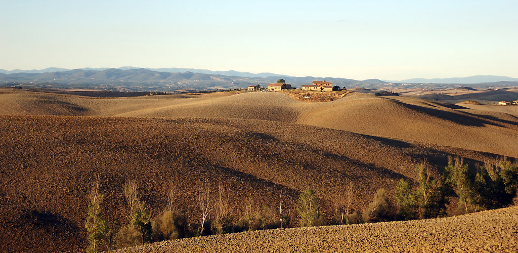 provinz siena (26)