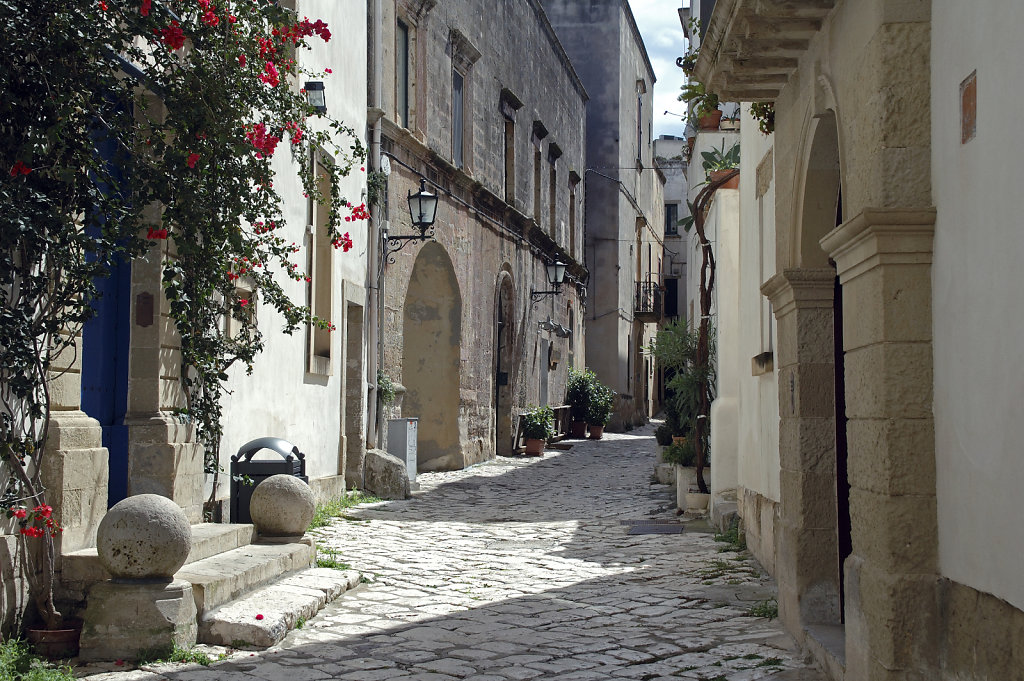 salent (29) 
