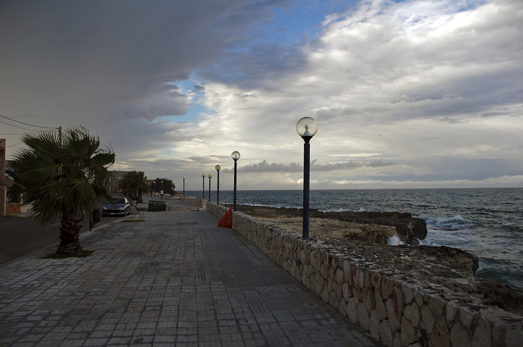 salent (61) 
