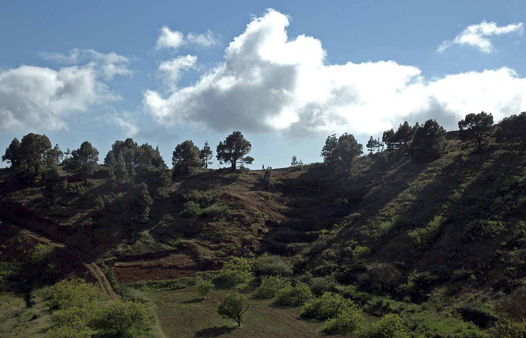 el hierro (56)