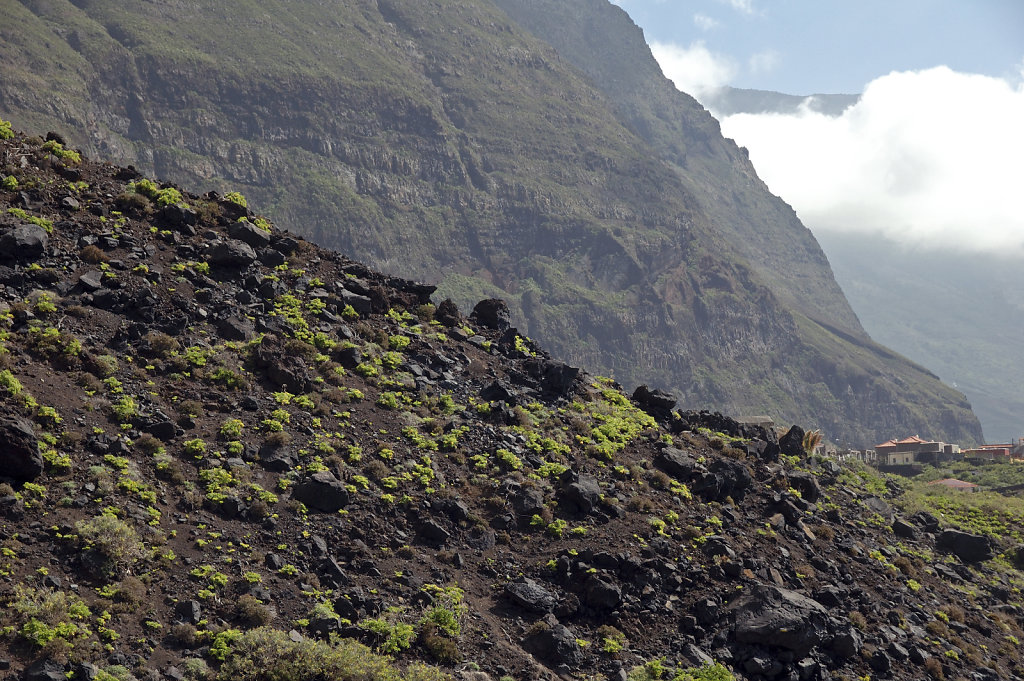 el hierro (7)