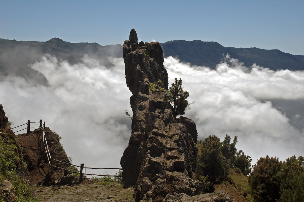 el hierro (9)