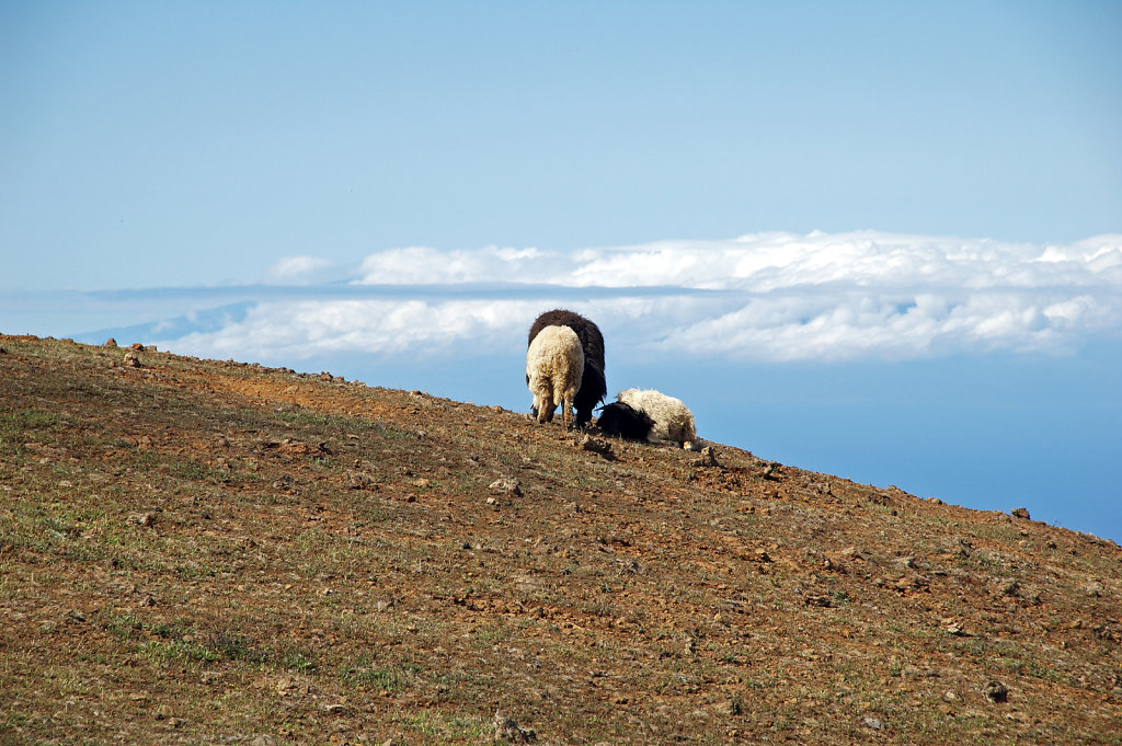 el hierro (10)