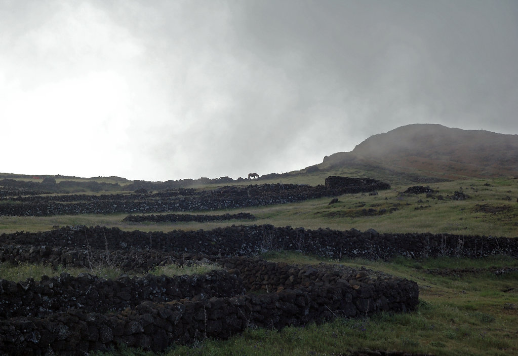 el hierro (17)