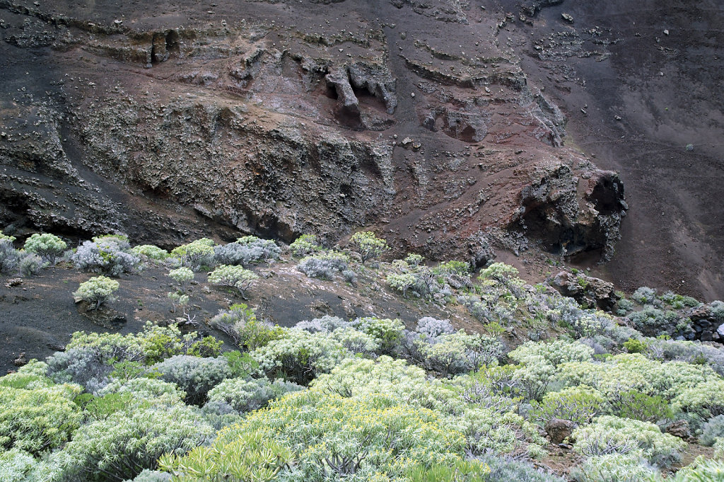 el hierro (18)