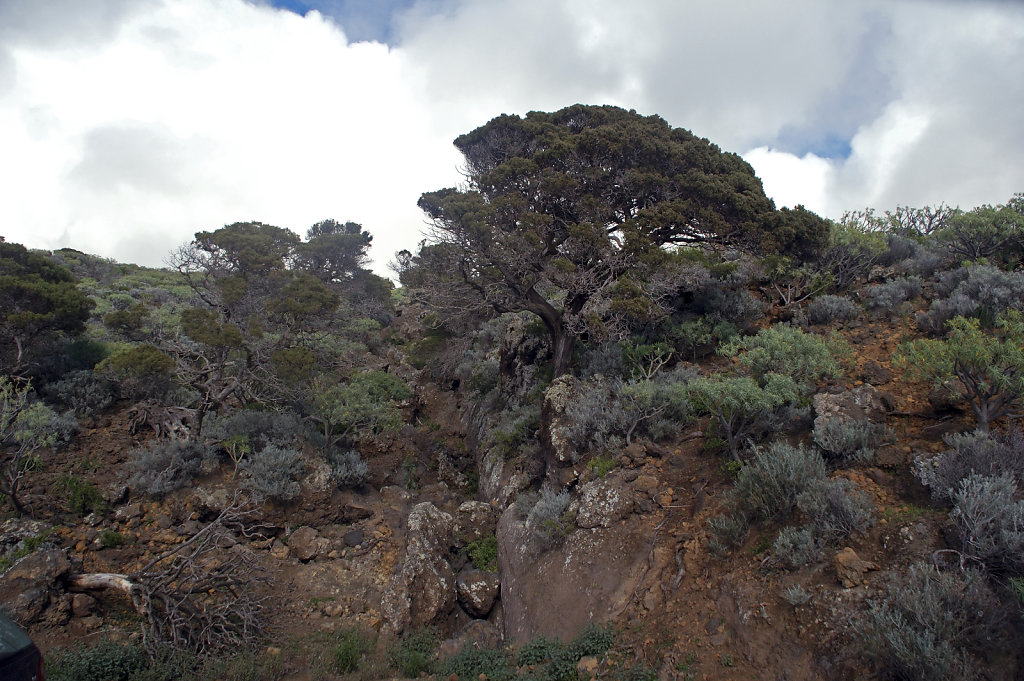 el hierro (21)