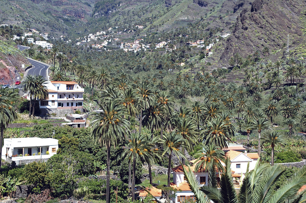 la gomera (11)