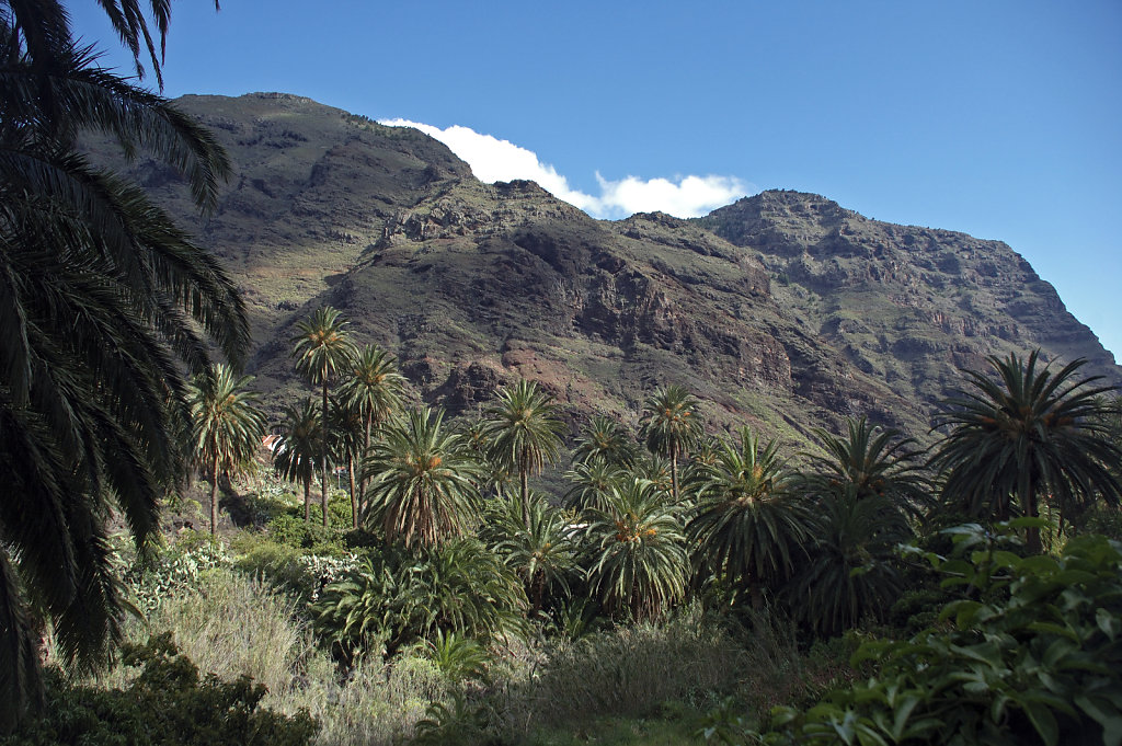 la gomera (12)