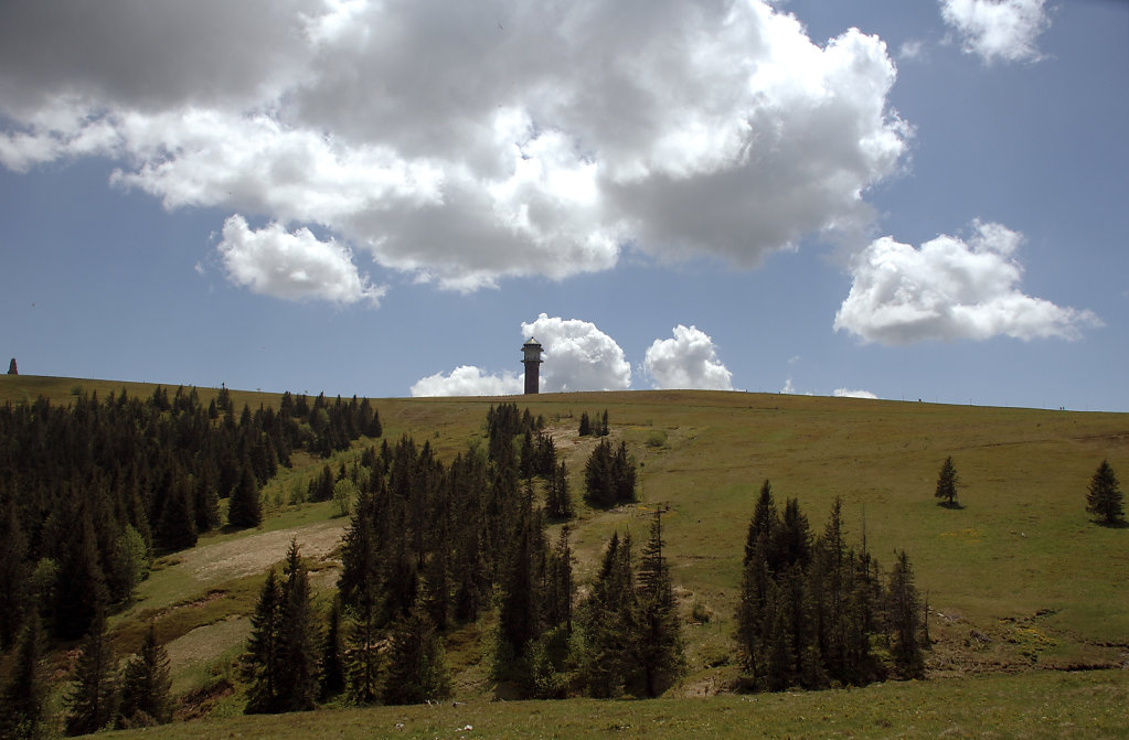 schwarzwald (4)