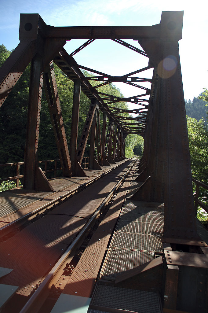 schwarzwald (9)