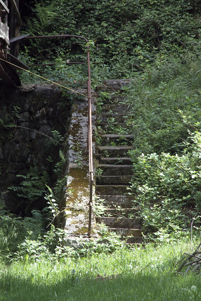 schwarzwald (15) - verwunschen