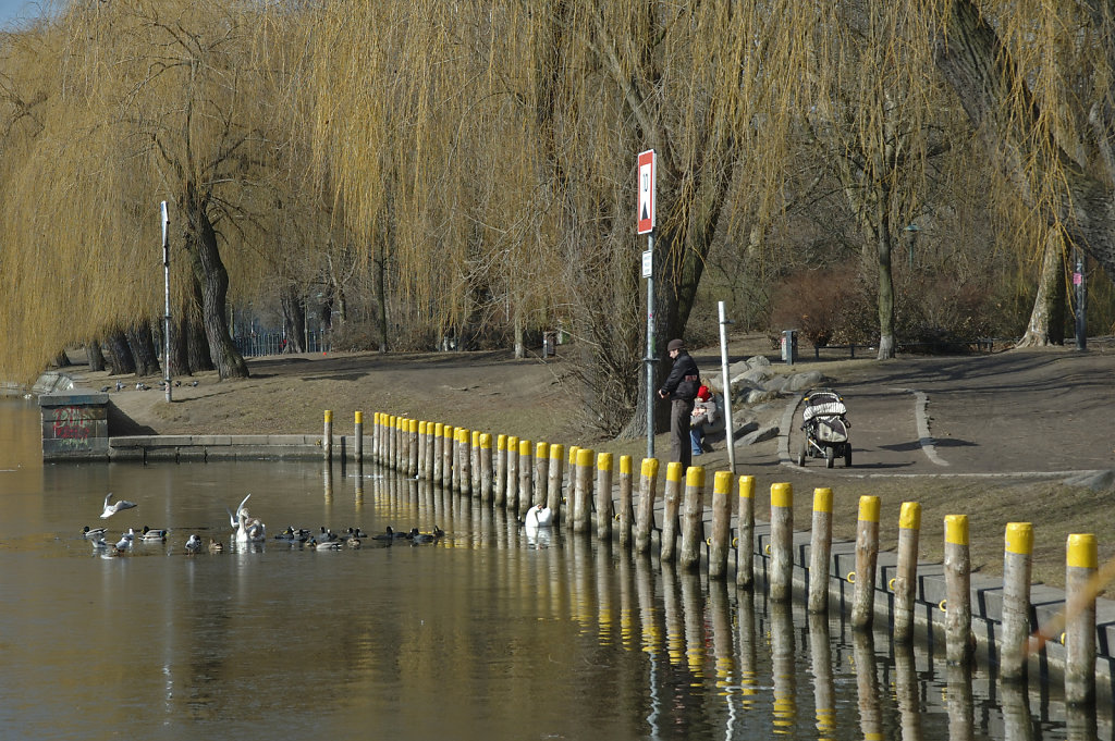 enten füttern