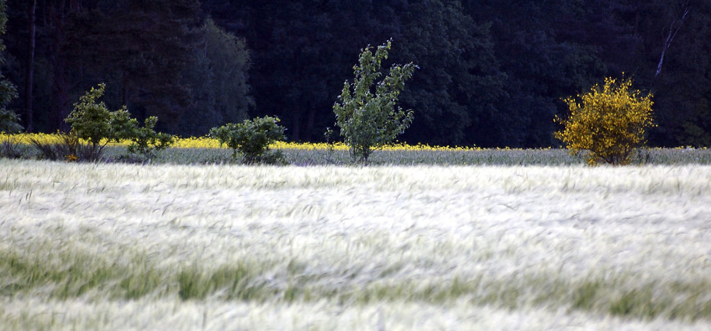 landschaft teil eins