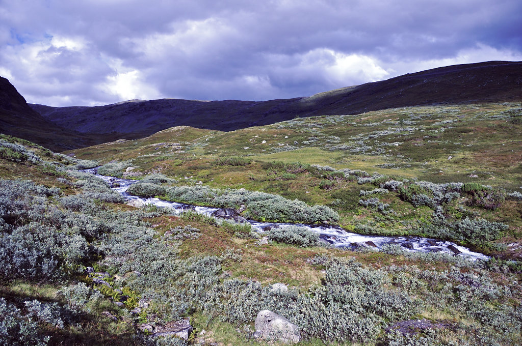 norwegen (71)  - snovegen 