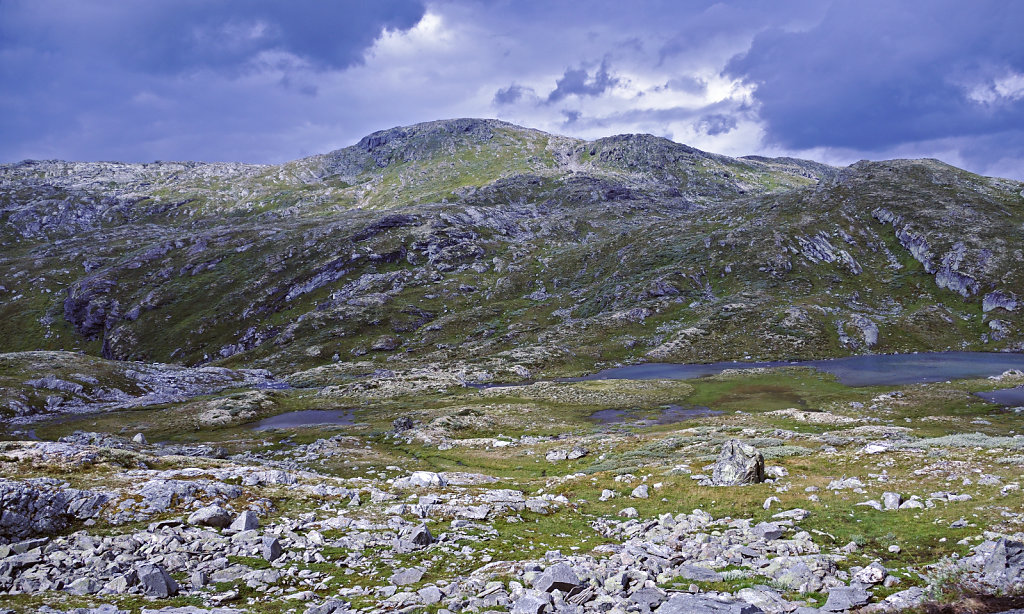 norwegen (88)  - unterwegs auf der 55 