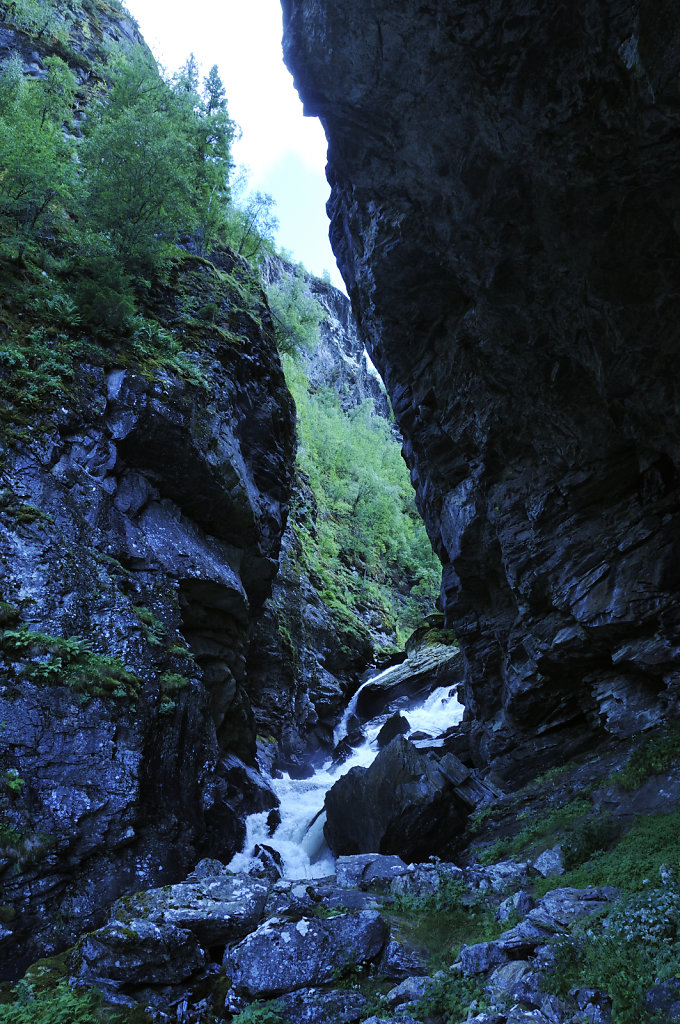 norwegen (108)  - geiranger - aufstieg zur alm