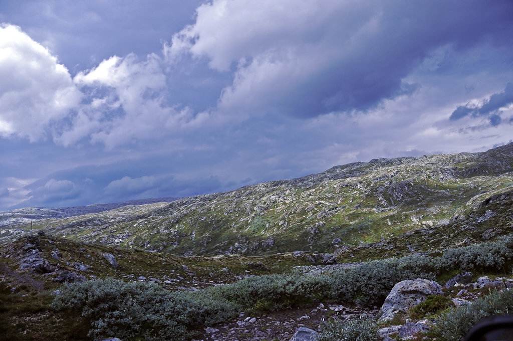 norwegen (87)  - unterwegs auf der 55 