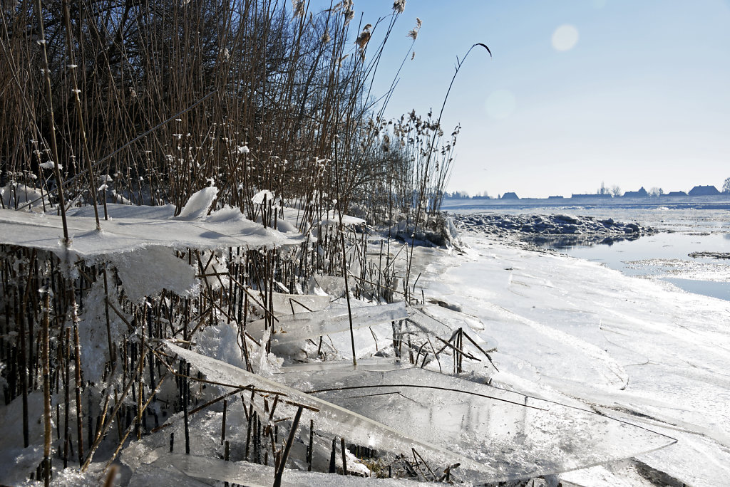 warwisch (10)