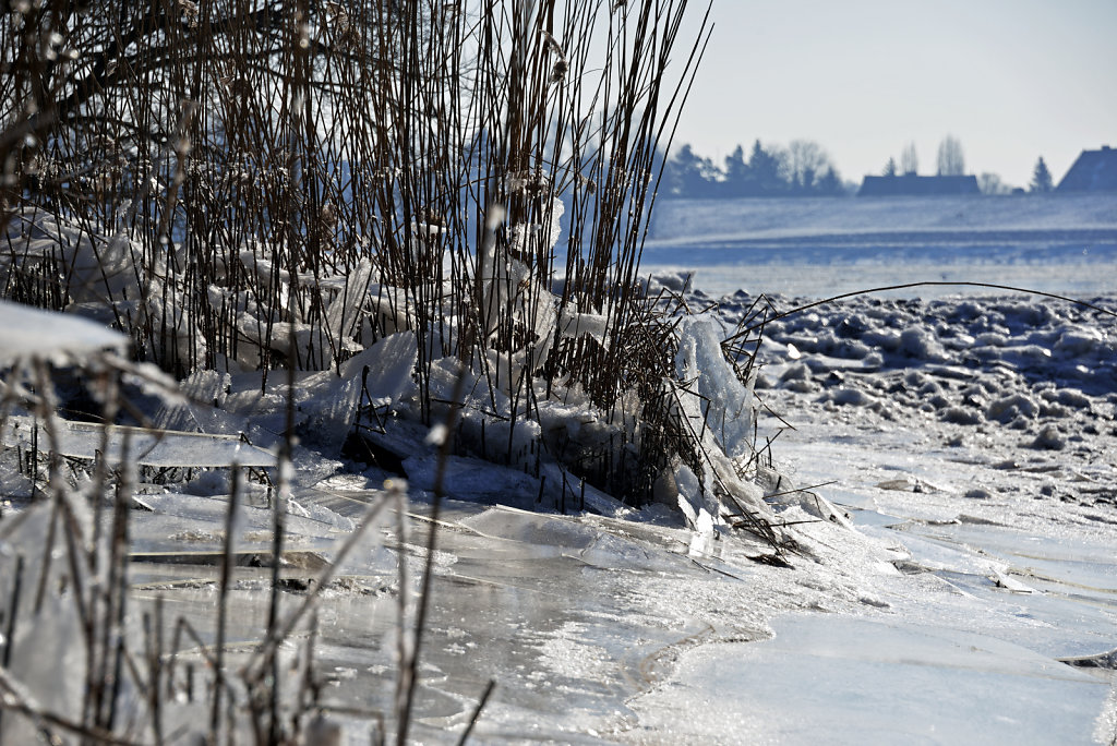 warwisch (11)
