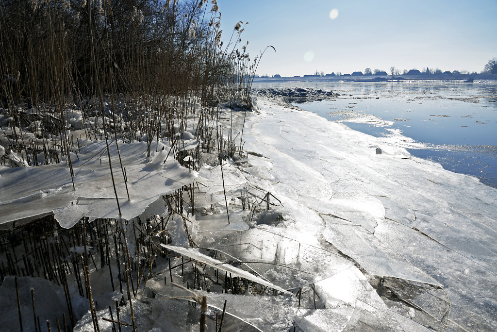 warwisch (12)