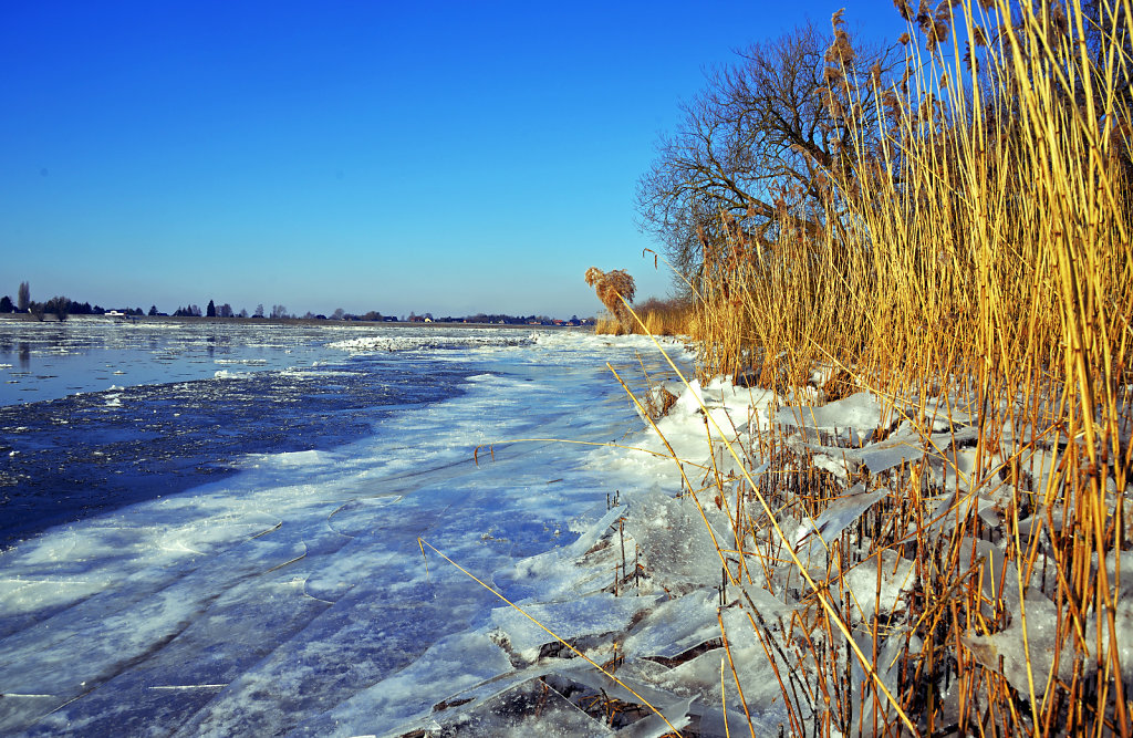 warwisch (15)