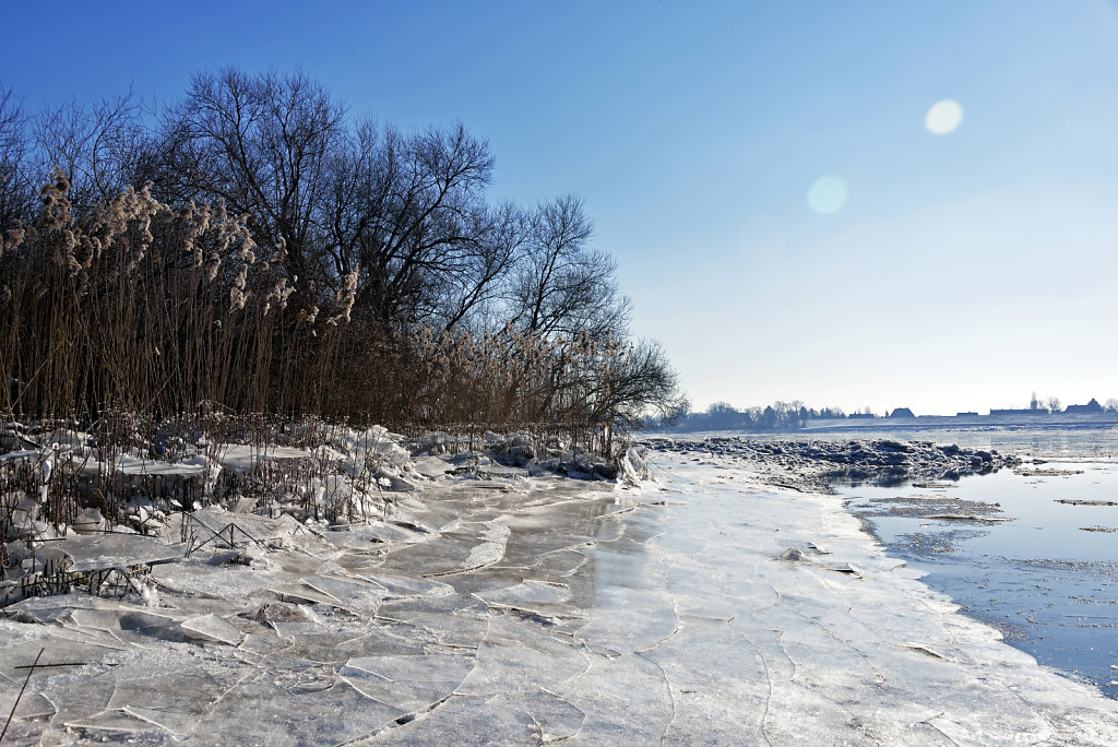 warwisch (17)
