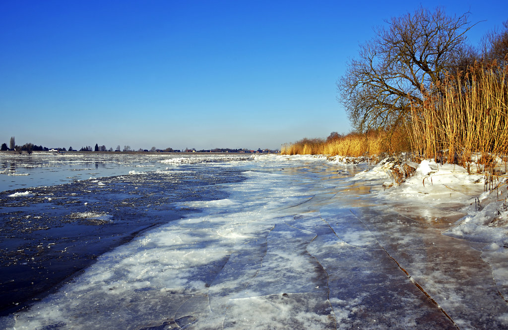 warwisch (18)