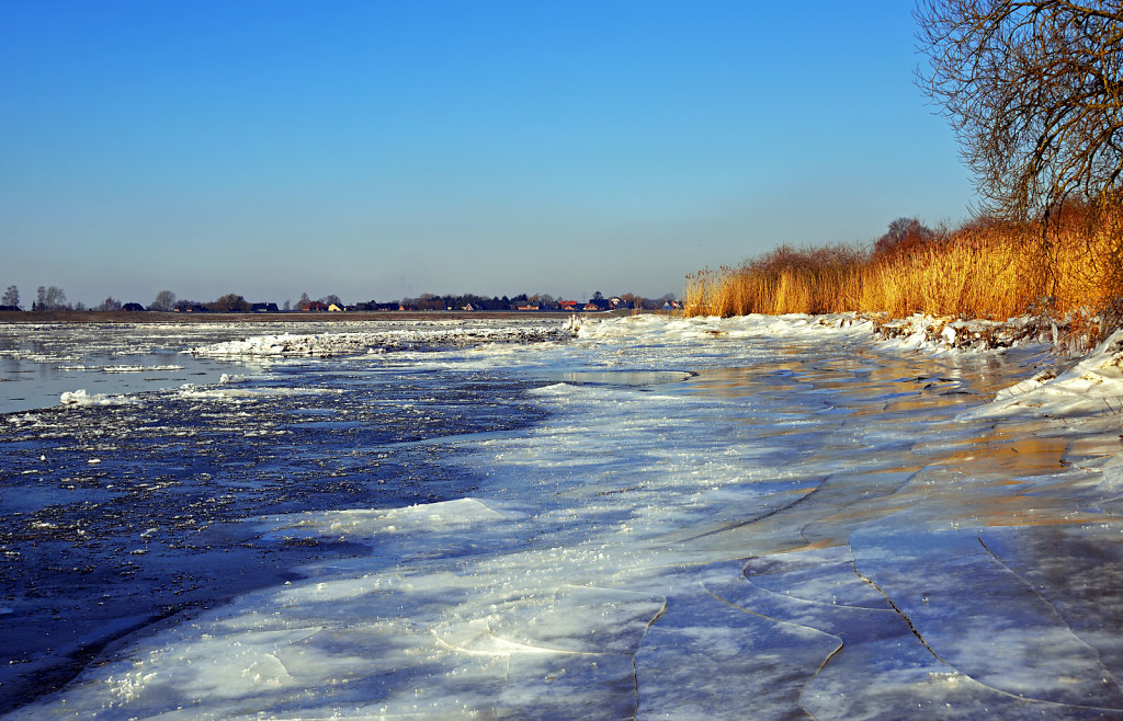 warwisch (19)