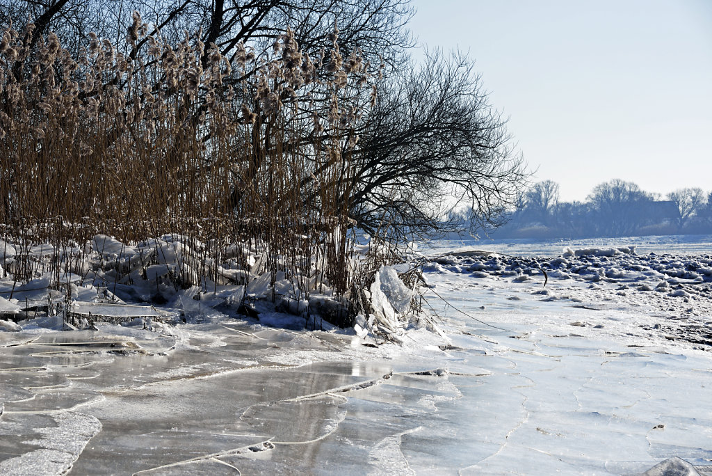 warwisch (20)