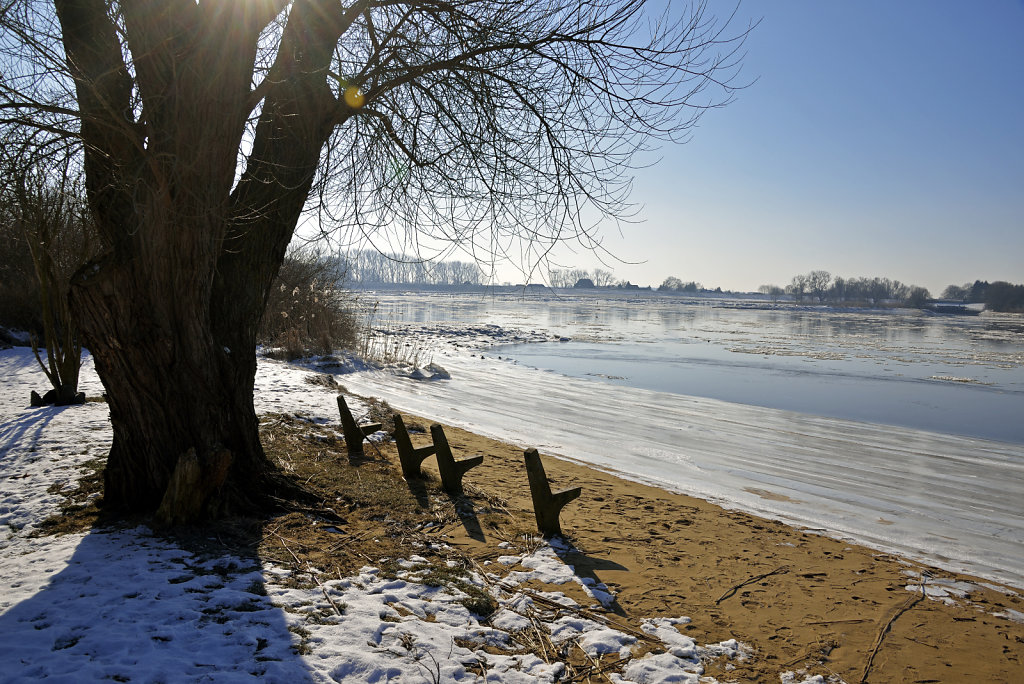 warwisch (21)