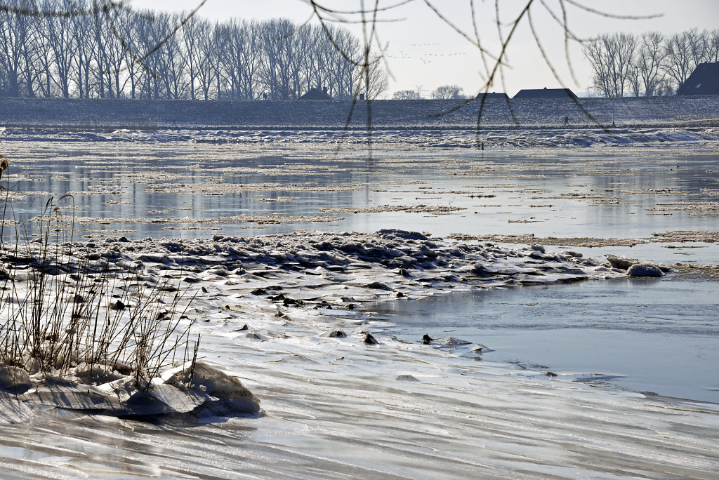 warwisch (22)