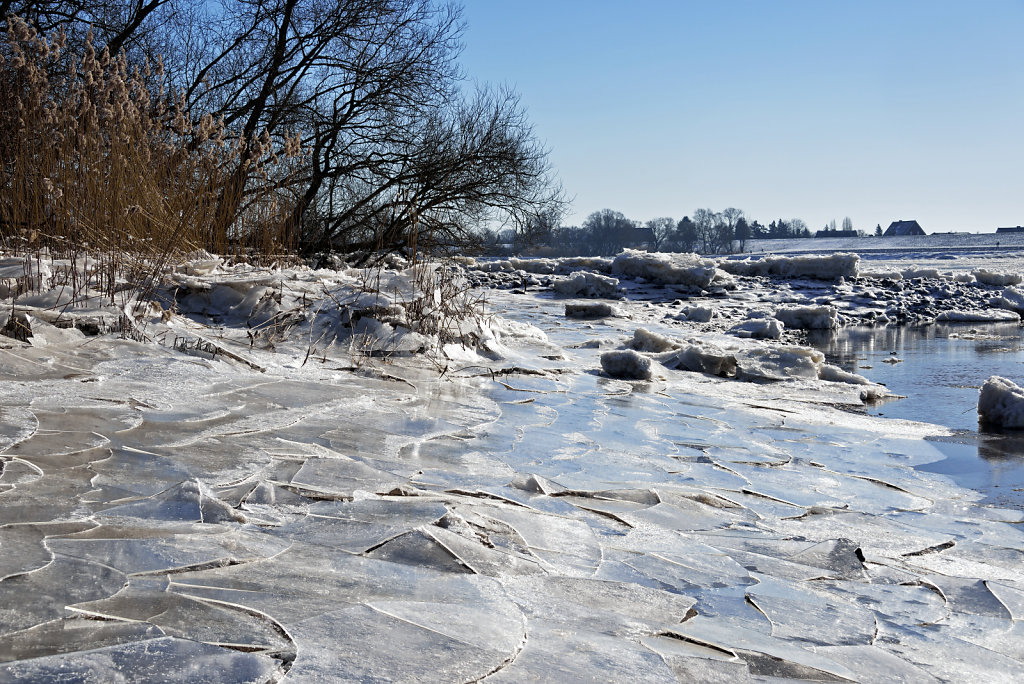 warwisch (25)