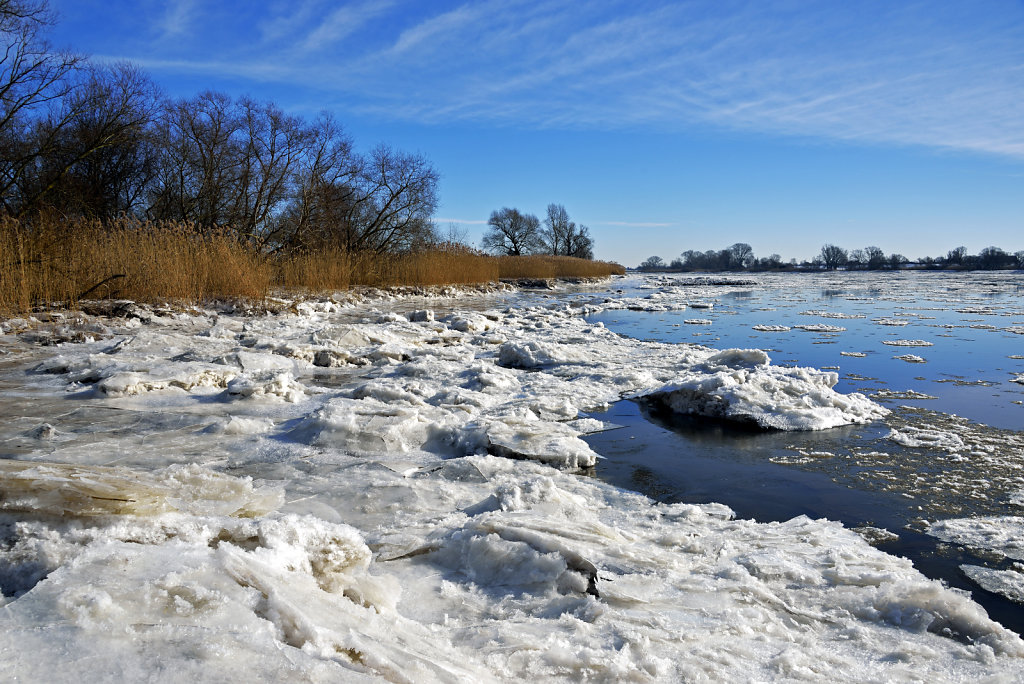 warwisch (29)