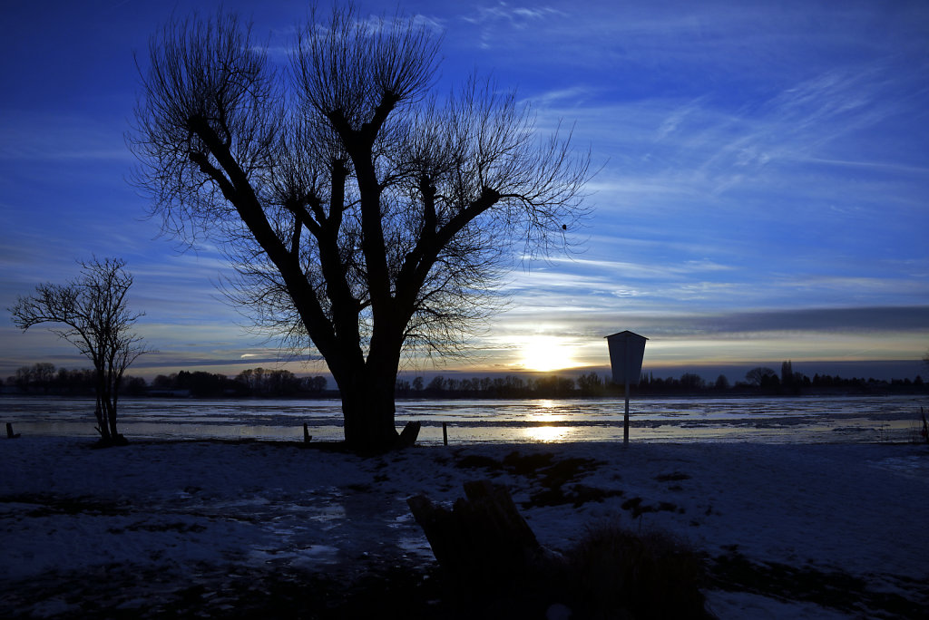 warwisch (31)