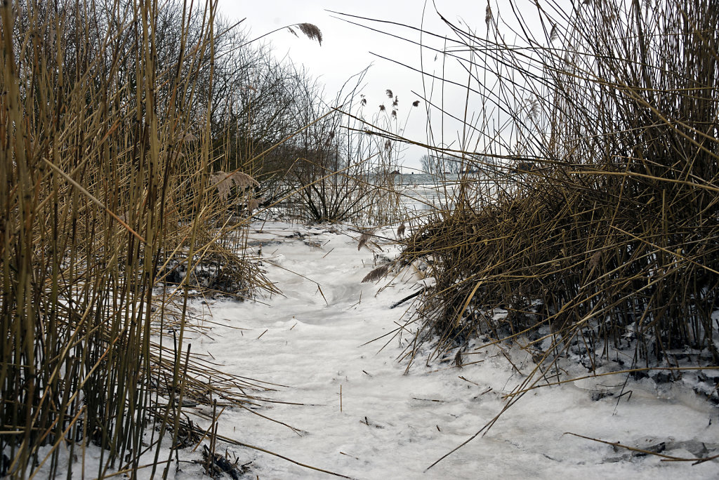 warwisch (34)
