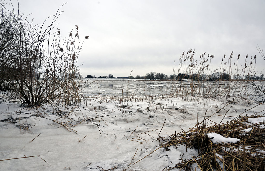 warwisch (35)