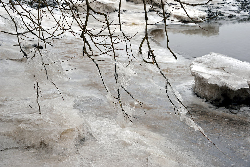 warwisch (38)