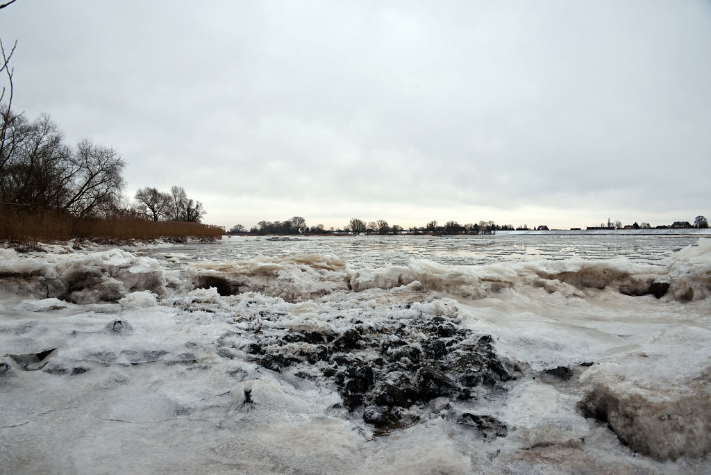 warwisch (39)