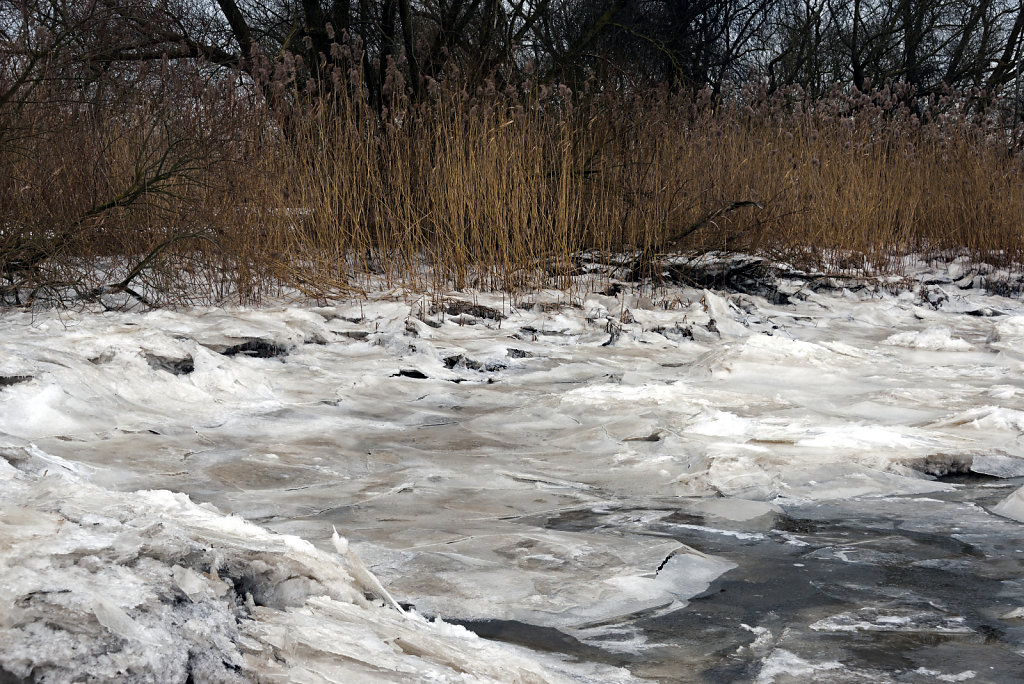 warwisch (41)