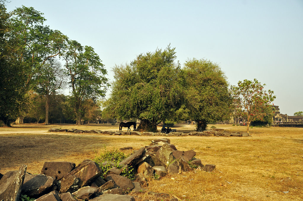 kambodscha - tempel von angkor - angkor wat (64)