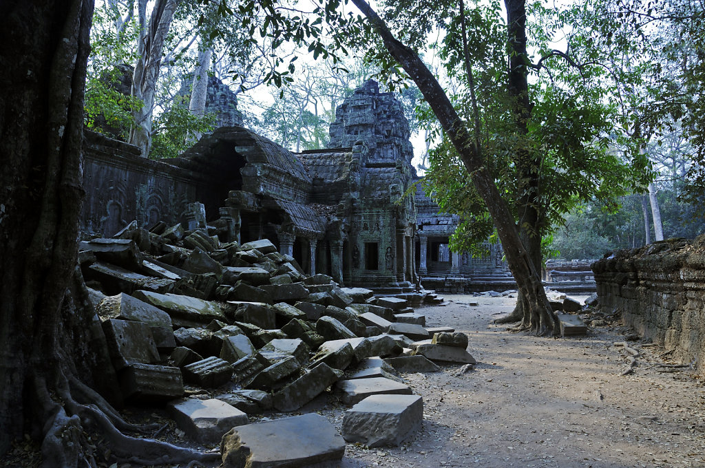 kambodscha - tempel von anghor - ta prohm (22)