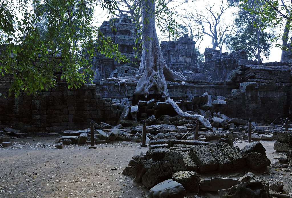kambodscha - tempel von anghor - ta prohm (23)