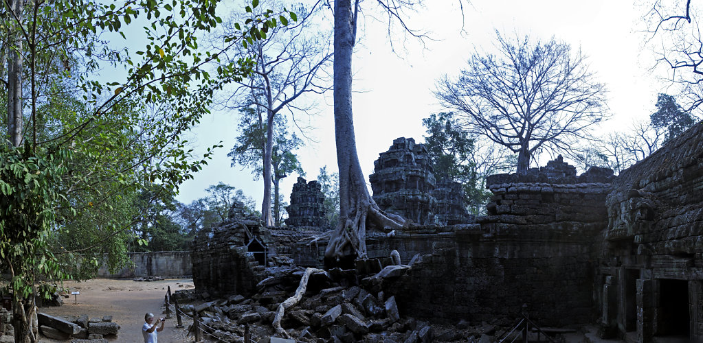 kambodscha - tempel von anghor - ta prohm (27) - teilpanorama te