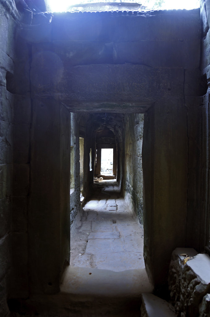 kambodscha - tempel von anghor - ta prohm (30)