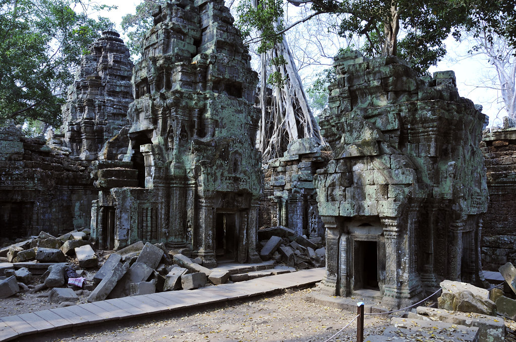 kambodscha - tempel von anghor - ta prohm (35)