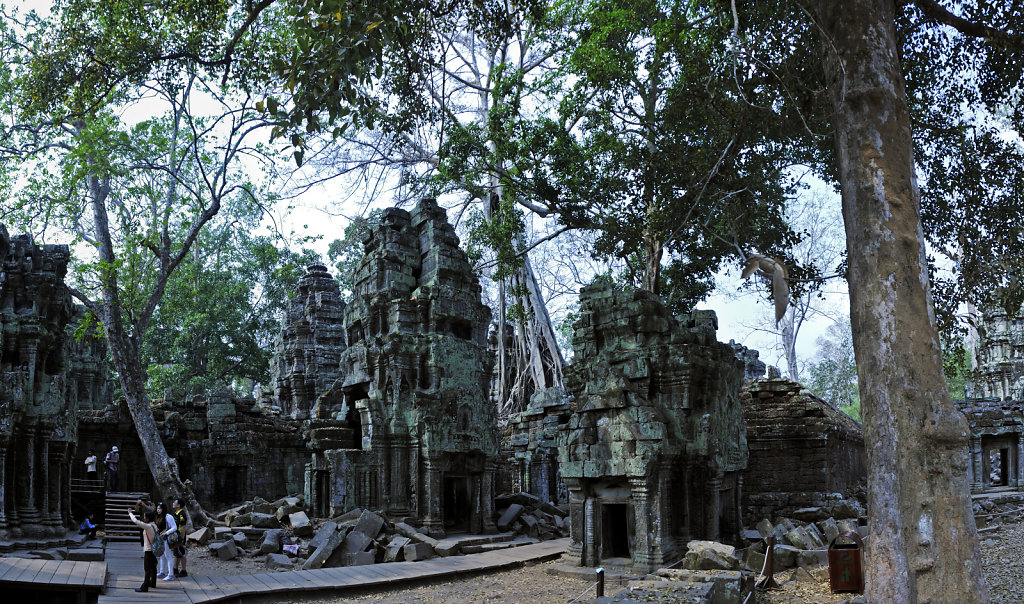 kambodscha - tempel von anghor - ta prohm (36) - teilpanorama te