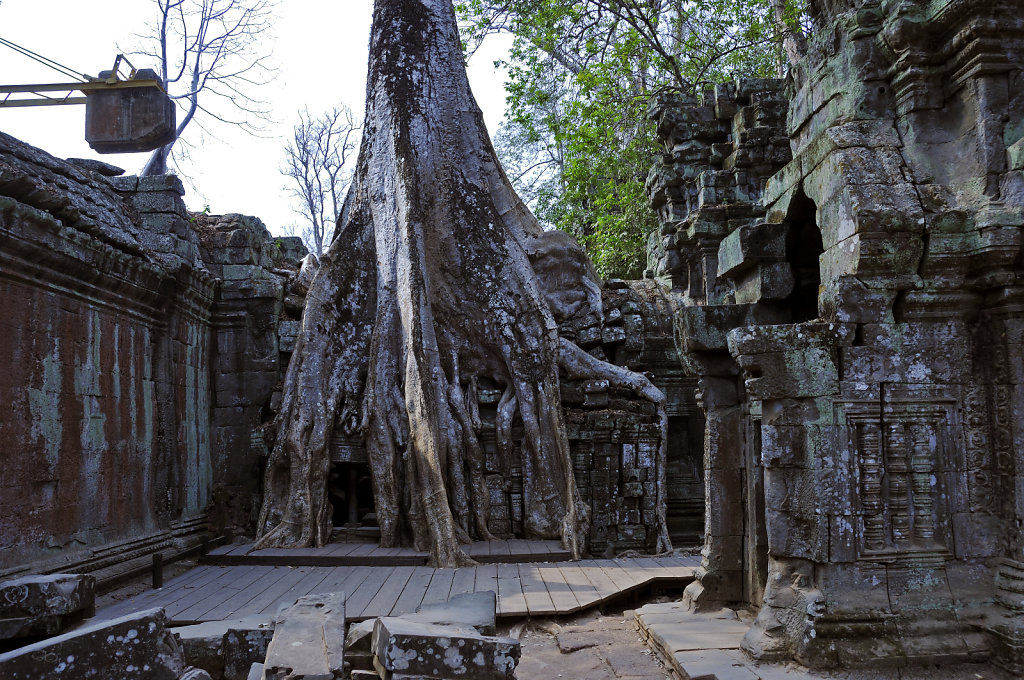 kambodscha - tempel von anghor - ta prohm (37)