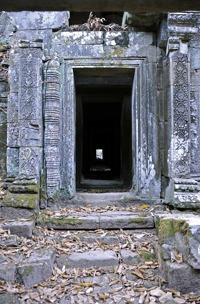 kambodscha - tempel von anghor - ta prohm (41)